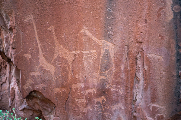 Incisioni rupestri in Damaraland