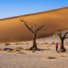 Namib Desert (Sossusvlei)