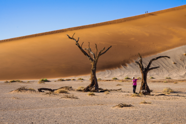 Namib Desert (Sossusvlei)