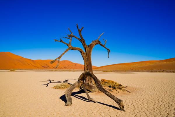 Namib Desert (Sossusvlei)