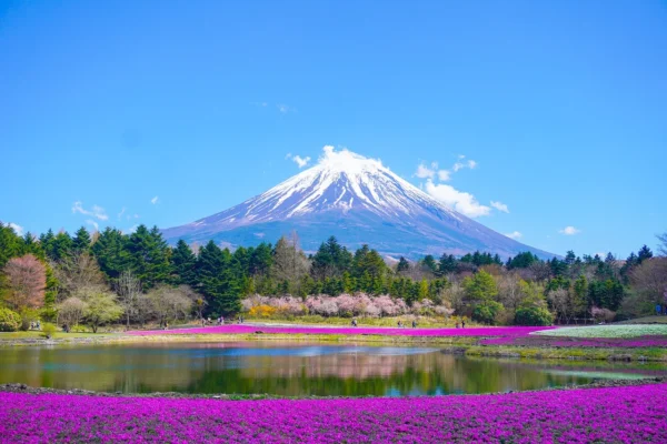 mount-fuji-8010752_1280